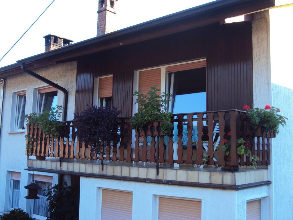 Apartment Maruska Tolmin Zewnętrze zdjęcie