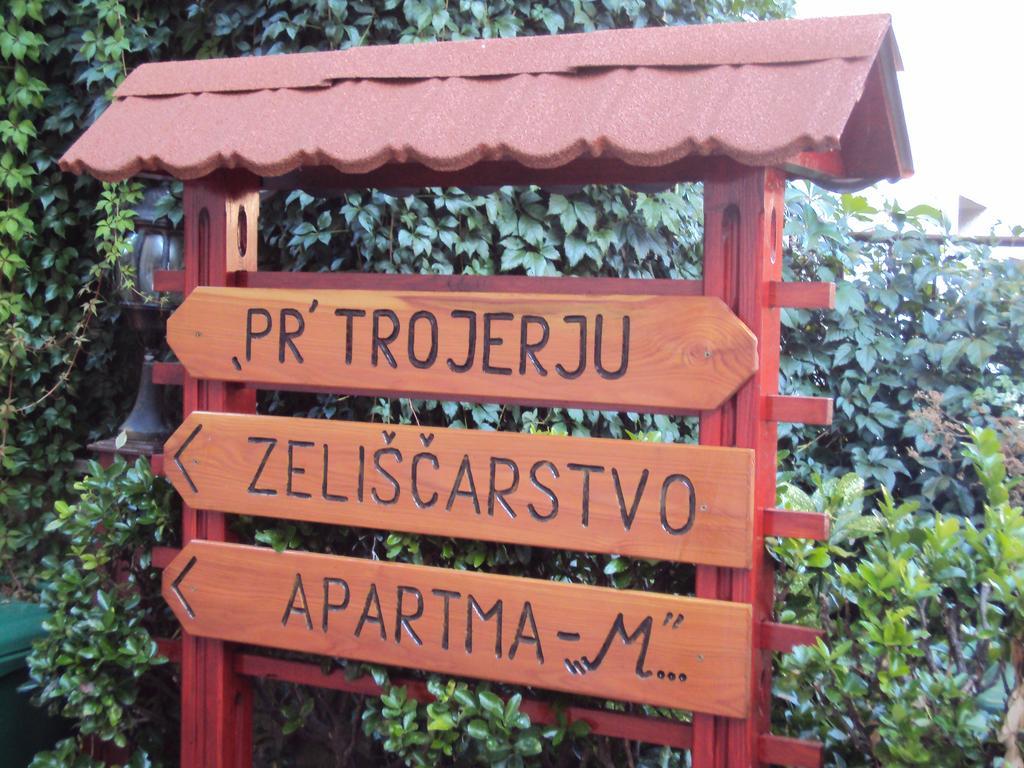 Apartment Maruska Tolmin Zewnętrze zdjęcie